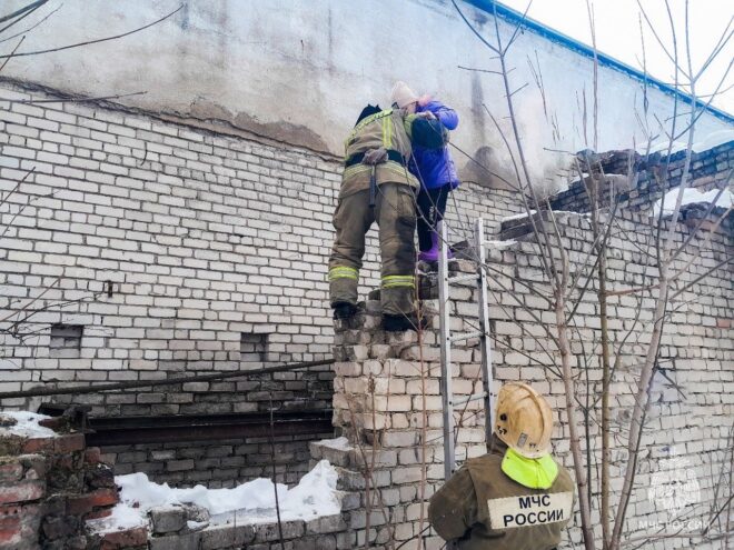 В Тверской области организовали проверку по факту обнаружении ребенка на крыше заброшенного здания В Тверской области организовали проверку по факту обнаружении ребенка на крыше заброшенного здания