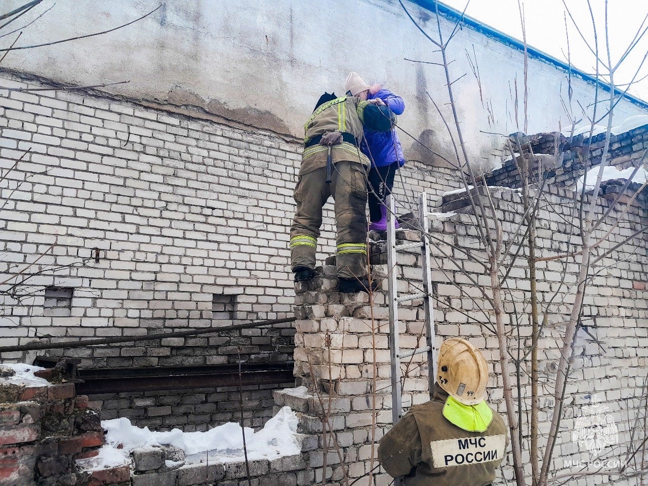 В Тверской области организовали проверку по факту обнаружении ребенка на крыше заброшенного здания
