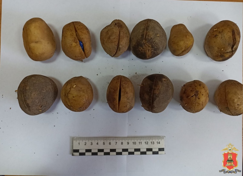 29-летний житель Вышнего Волочка прятал наркотики в клубнях картошки