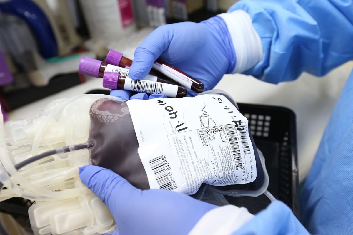 Жители Твери могут сдать кровь в помощь пострадавшим при теракте в «Крокусе»