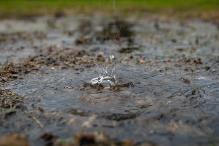 В Тверской области будет тепло, но дождливо В Тверской области будет тепло, но дождливо