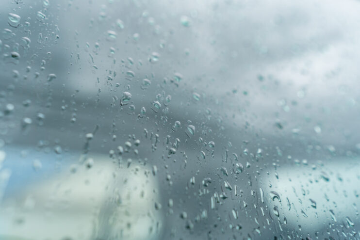 В понедельник в Тверской области ожидаются осадки