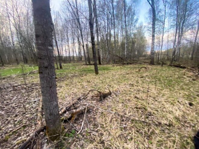 В Тверской области выясняют причину гибели найденного егерем мужчины В Тверской области выясняют причину гибели найденного егерем мужчины