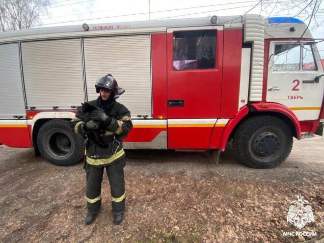 В Твери сотрудники МЧС помогли снять с дерева испуганного кота