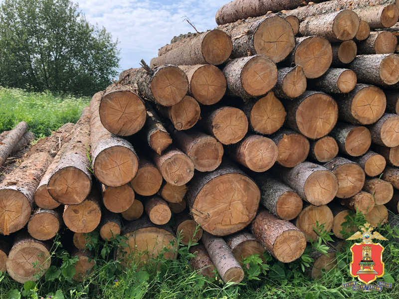 Житель Тверской области организовал незаконную рубку деревьев вблизи озера Селигер