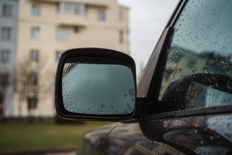 В Тверской области снова будет дождливо