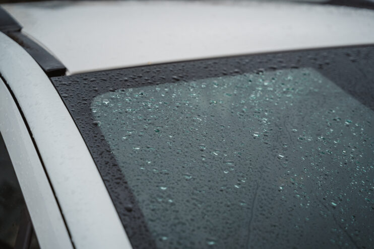 В западных районах Тверской области ожидается дождь В западных районах Тверской области ожидается дождь