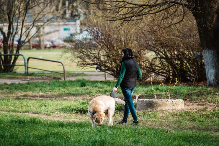 В среду в Тверской области будет тепло