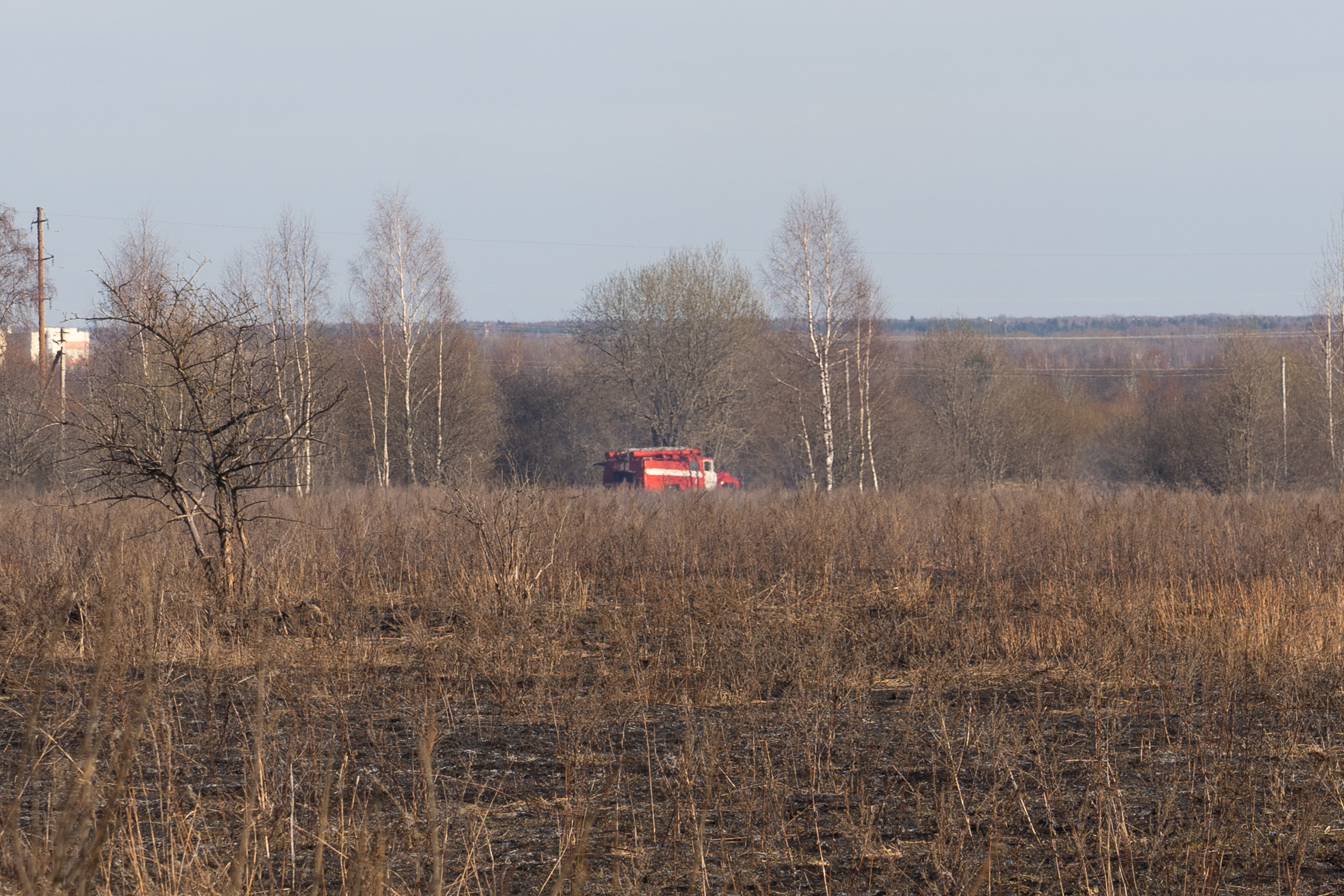 В деревне Тверской области сотрудники МЧС потушили возгорание травы