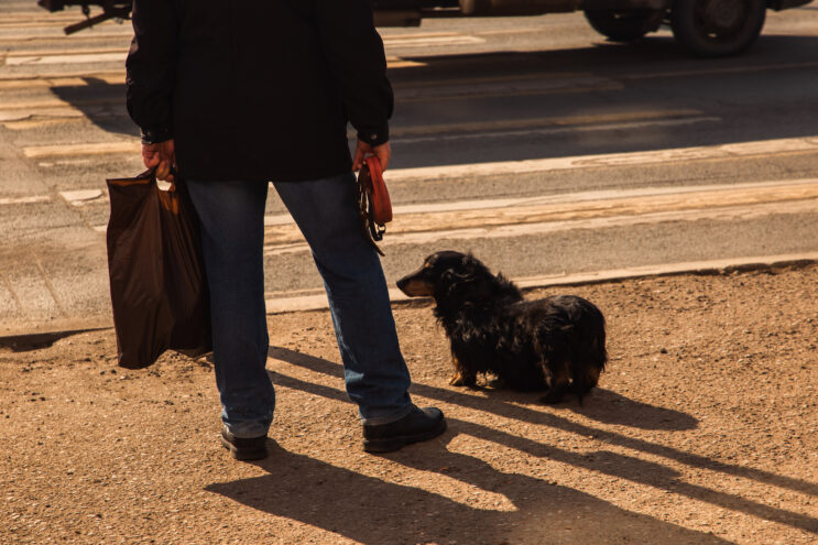 В Твери МТС открыла свои магазины для домашних животных
