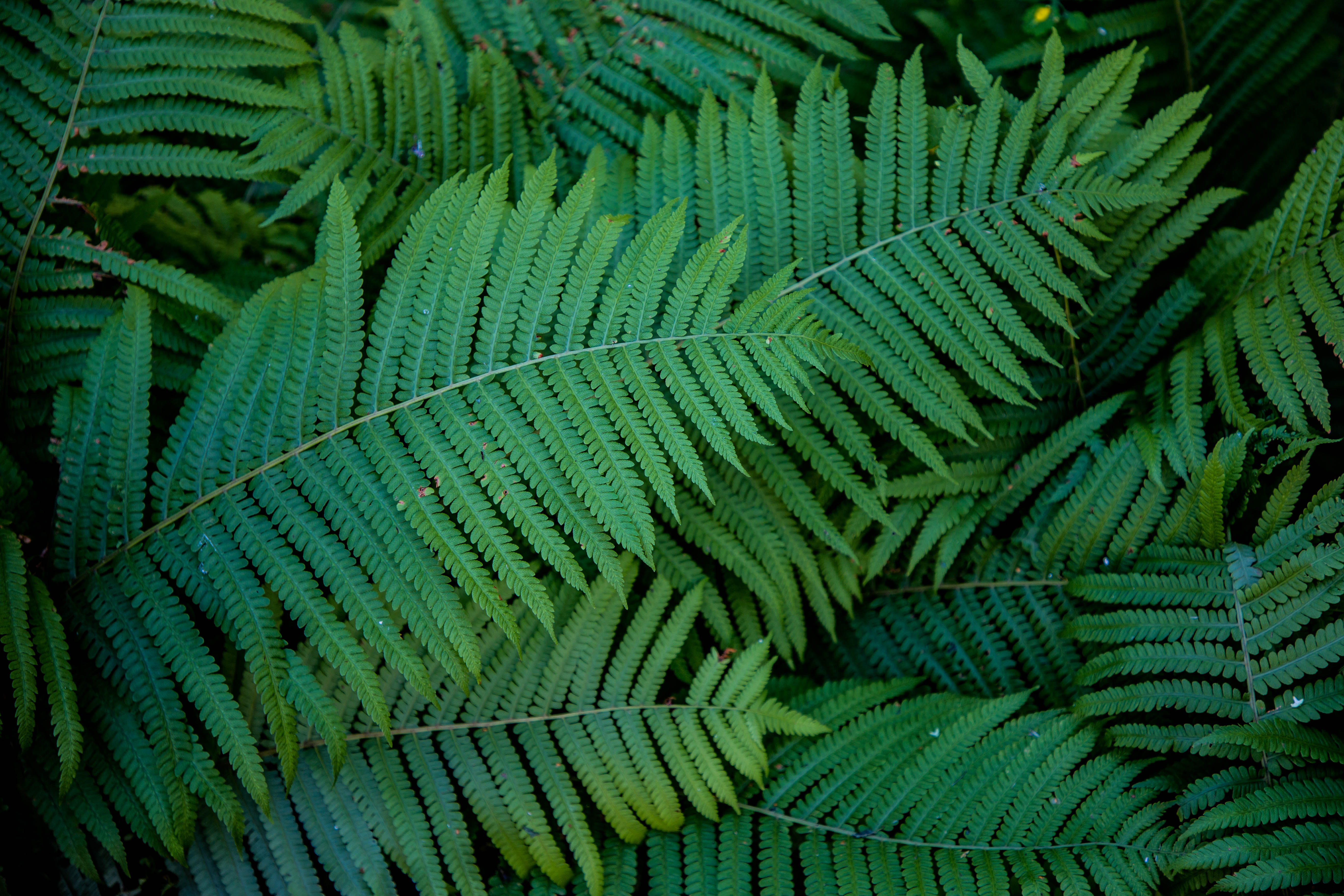 Фотолайфхак: Текстуры