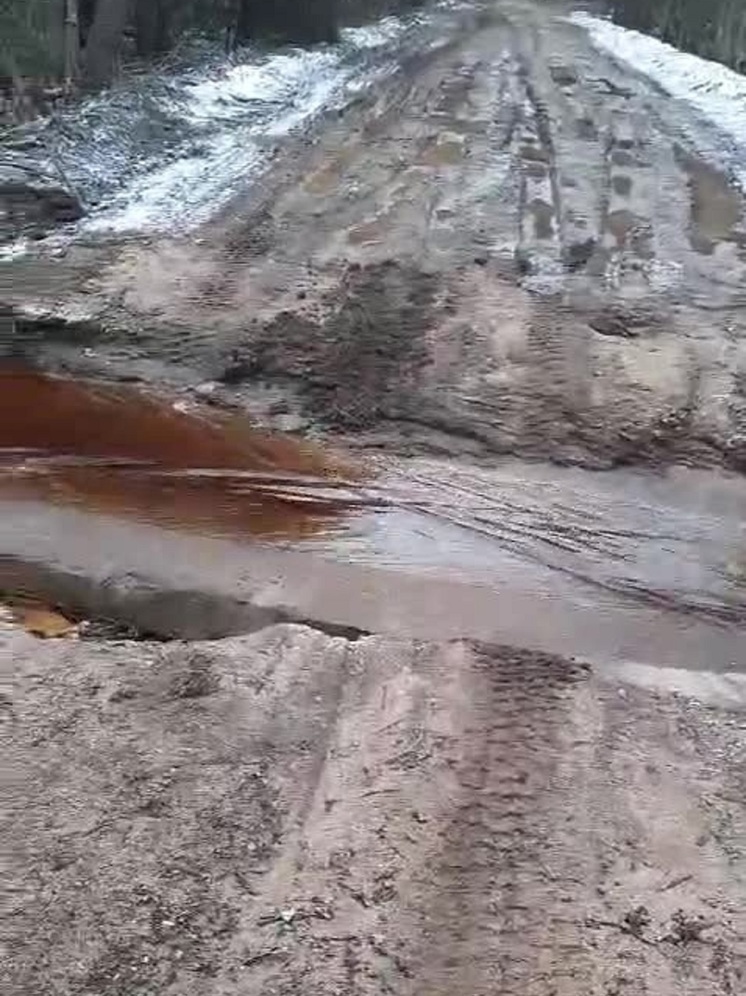 В Андреапольском муниципальном округе Тверской области отремонтировали размытую дорогу В Андреапольском муниципальном округе Тверской области отремонтировали размытую дорогу