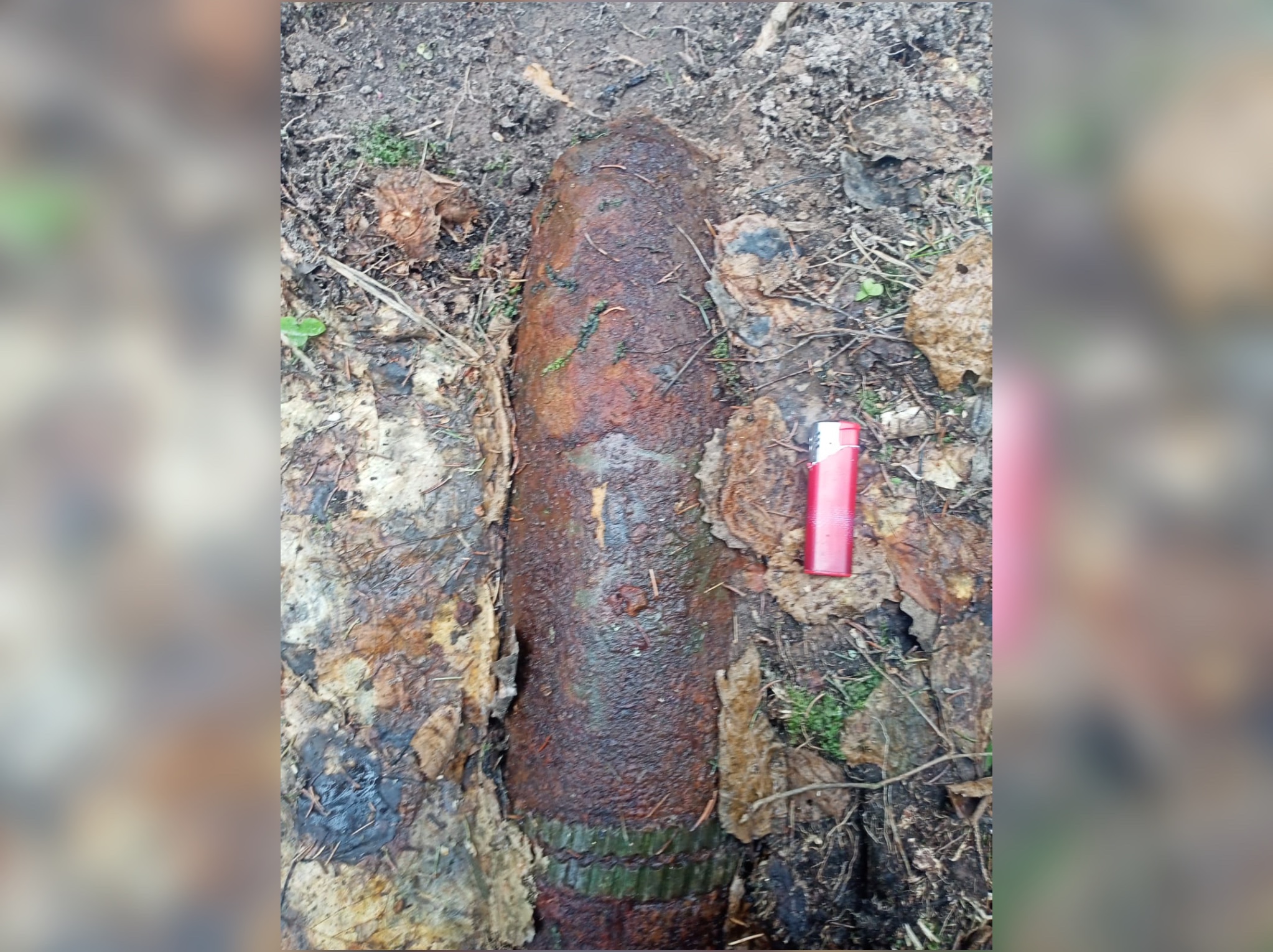 Сотрудники Росгвардии обезвредили снаряд, найденный в Тверской области