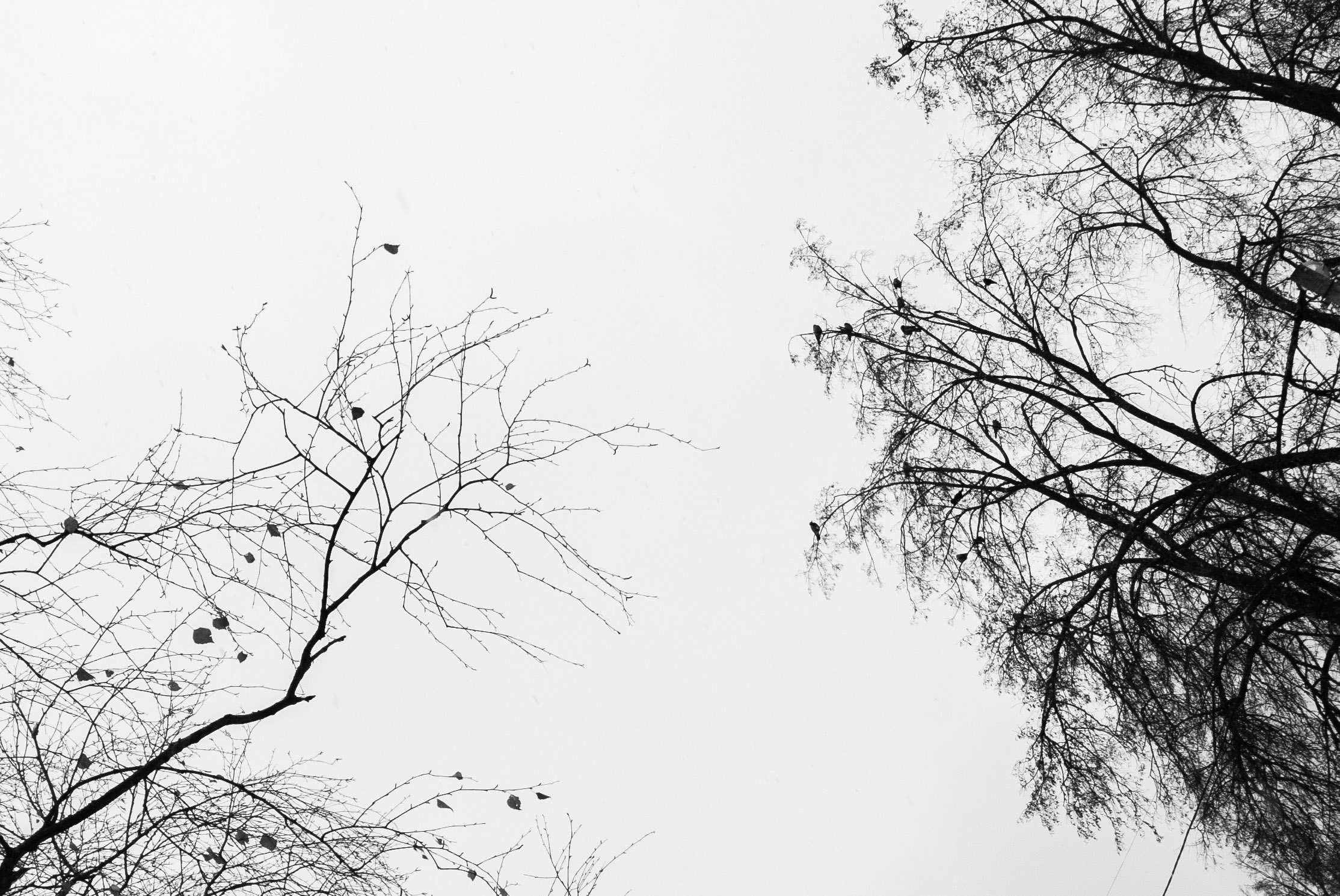 Фотолайфхак: Равновесие