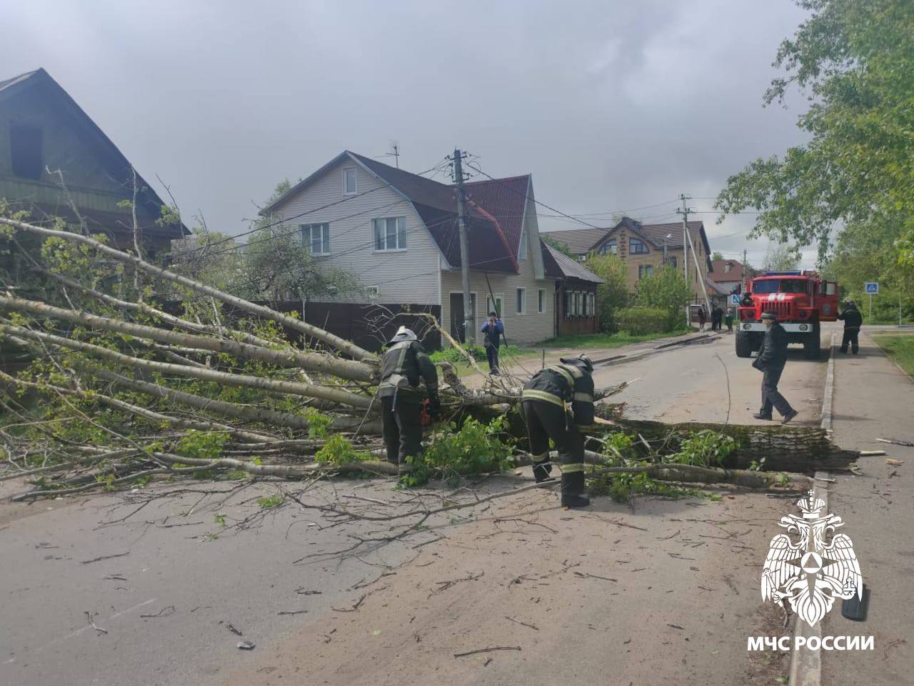 В Твери упавшее на дорогу дерево убрали с помощью сотрудников МЧС