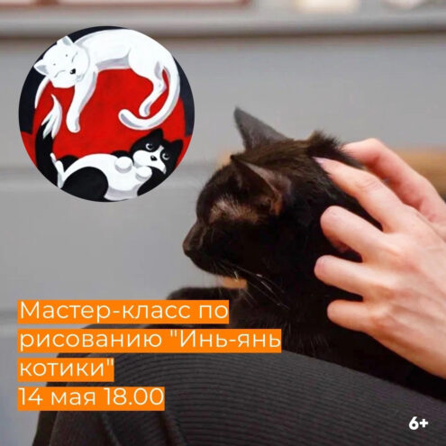 Тверской котокафе приглашает на мастер-класс по рисованию «Инь-янь котики»