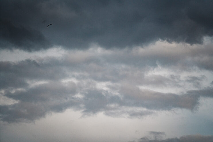 Жителей Тверской области ждет прохладная пятница