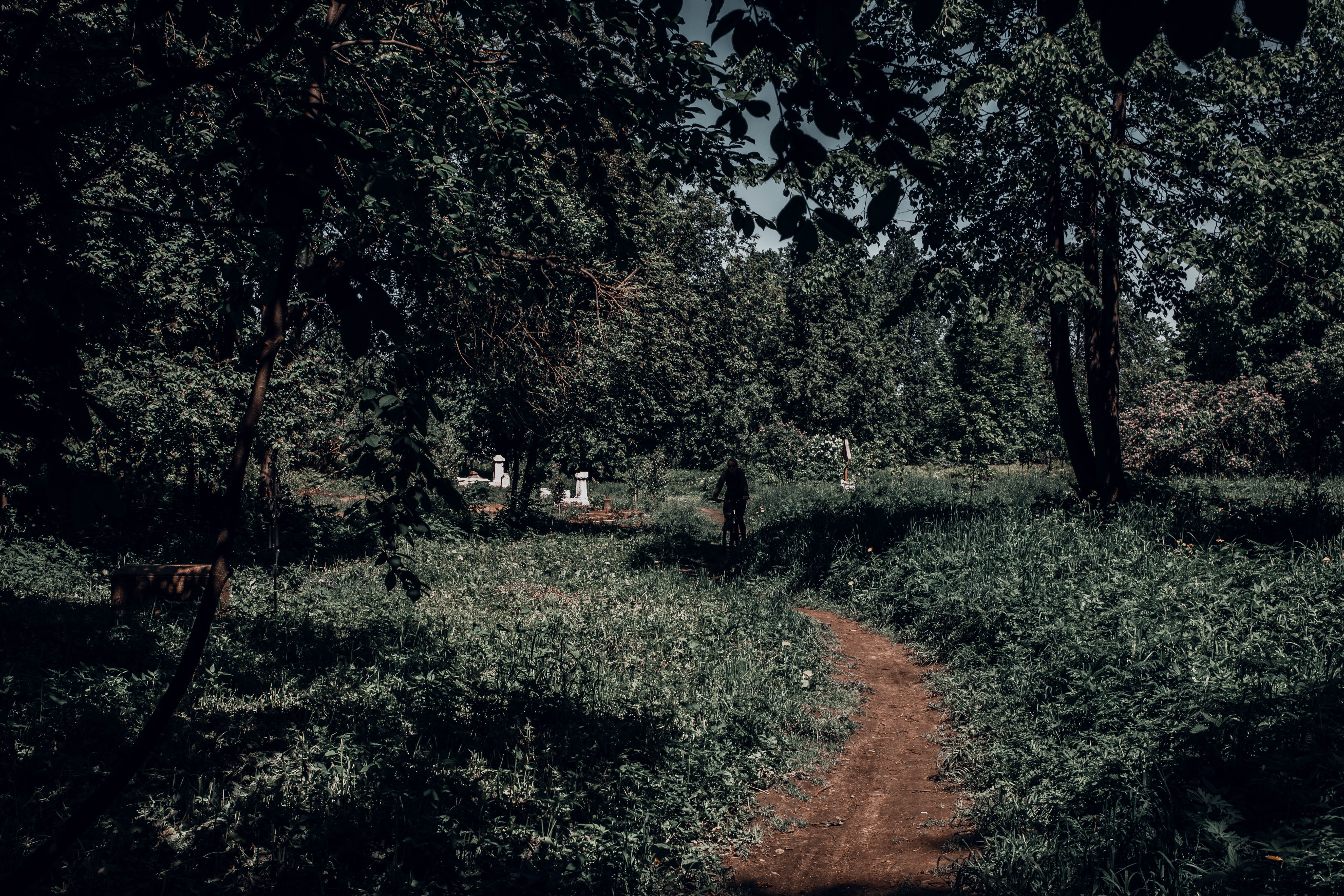 Блогер показала старинное Волынское кладбище в Твери