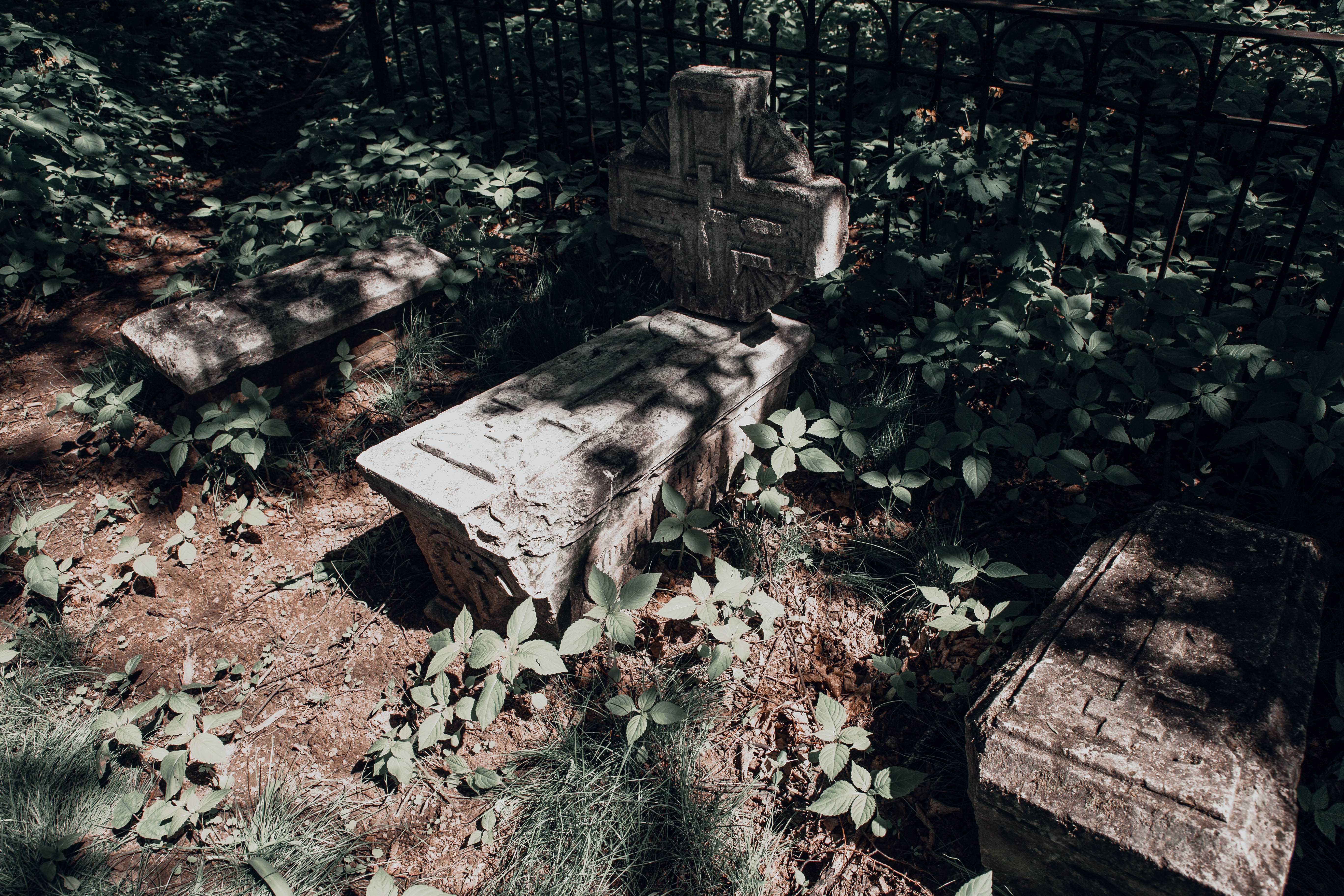 Блогер показала старинное Волынское кладбище в Твери