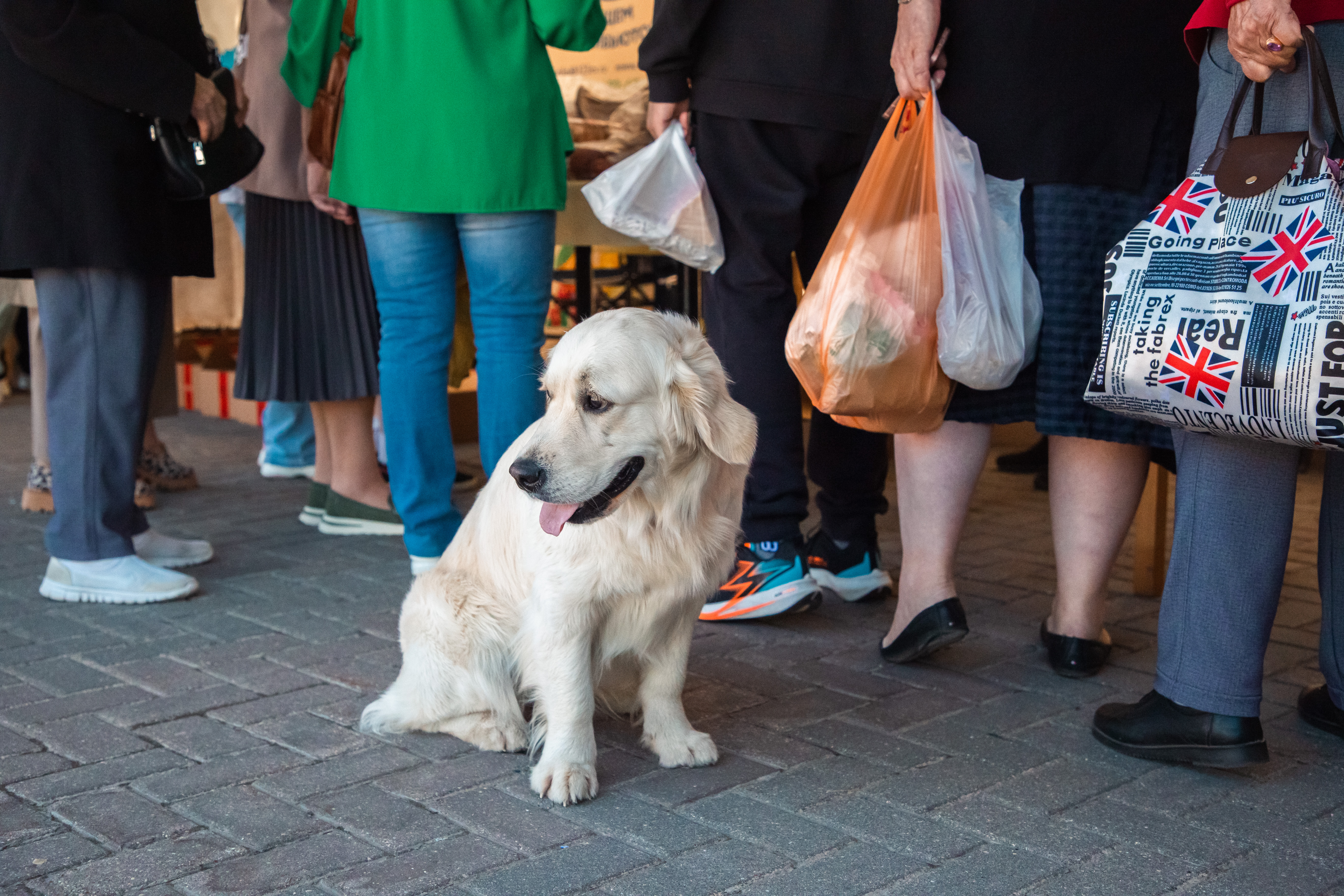 Как город в Тверской области на один день стал "столицей сыра"