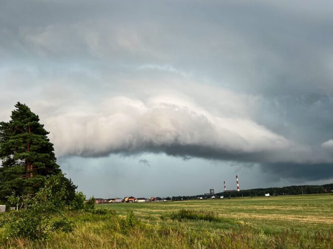 В Тверской области 31 мая будет дождливо