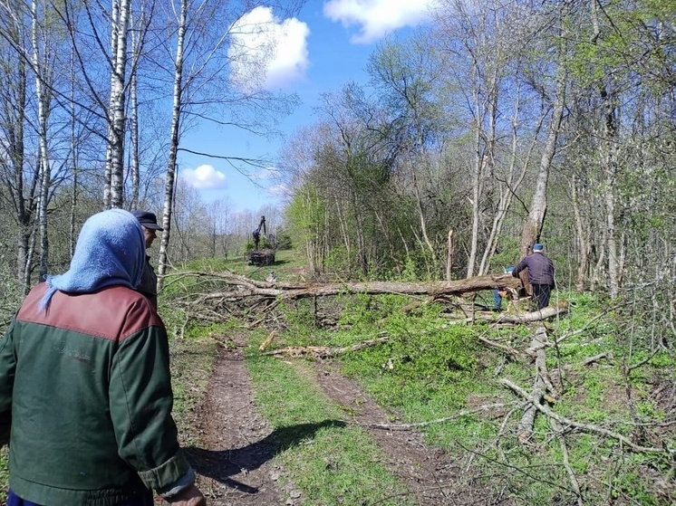 В Андреапольском округе прошла расчистка кладбища В Андреапольском округе прошла расчистка кладбища