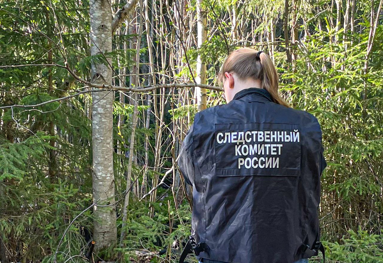В Тверской области в лесу обнаружили останки человека