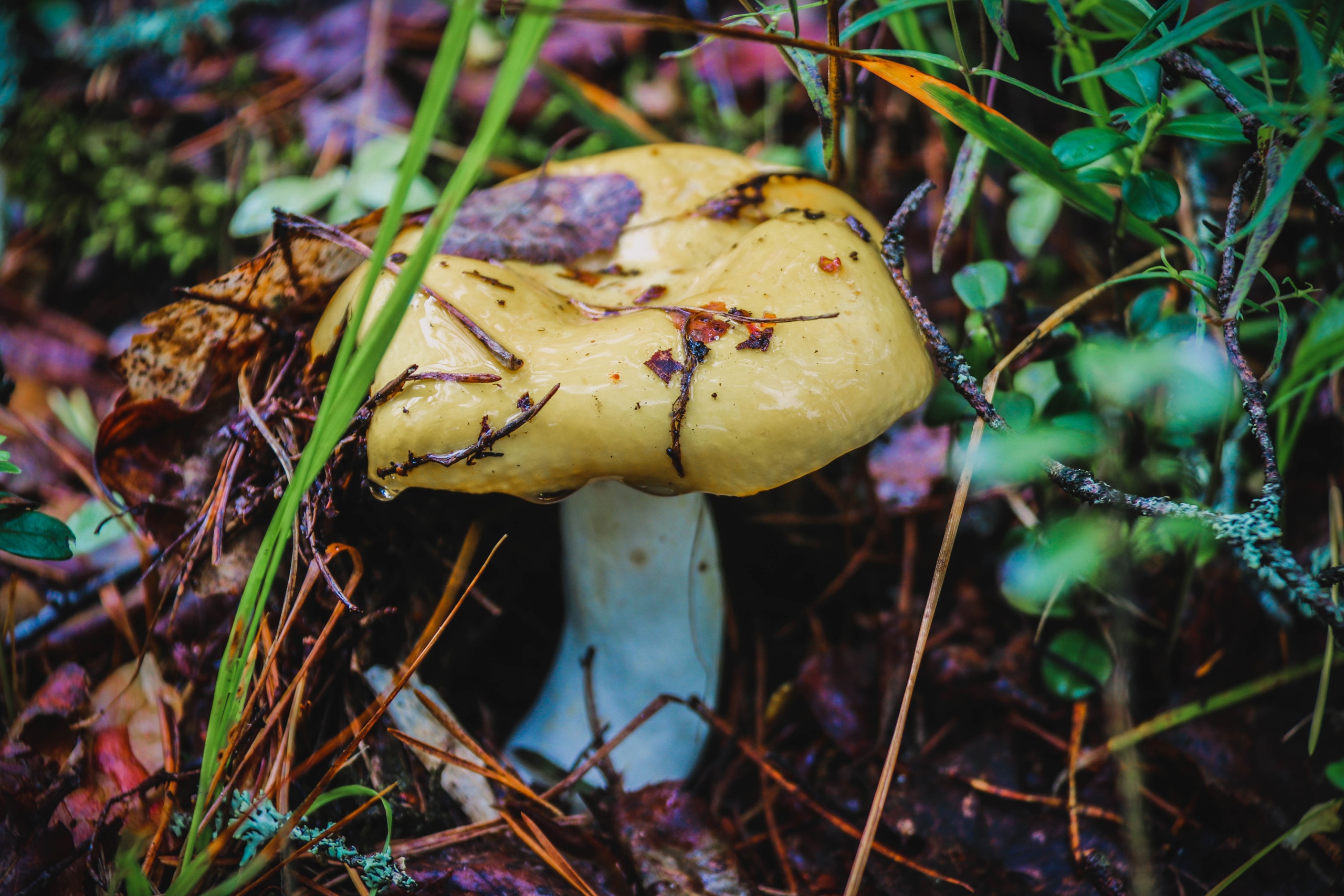 Фотолайфхак: Равновесие