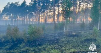 К тушению лесной подстилки в Тверской области привлекли пожарный поезд К тушению лесной подстилки в Тверской области привлекли пожарный поезд