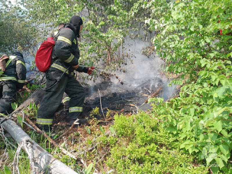 В Тверской области ликвидировано горение лесной подстилки В Тверской области ликвидировано горение лесной подстилки