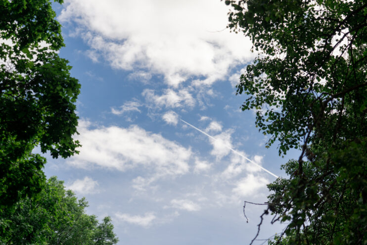 В Тверскую область придет жара