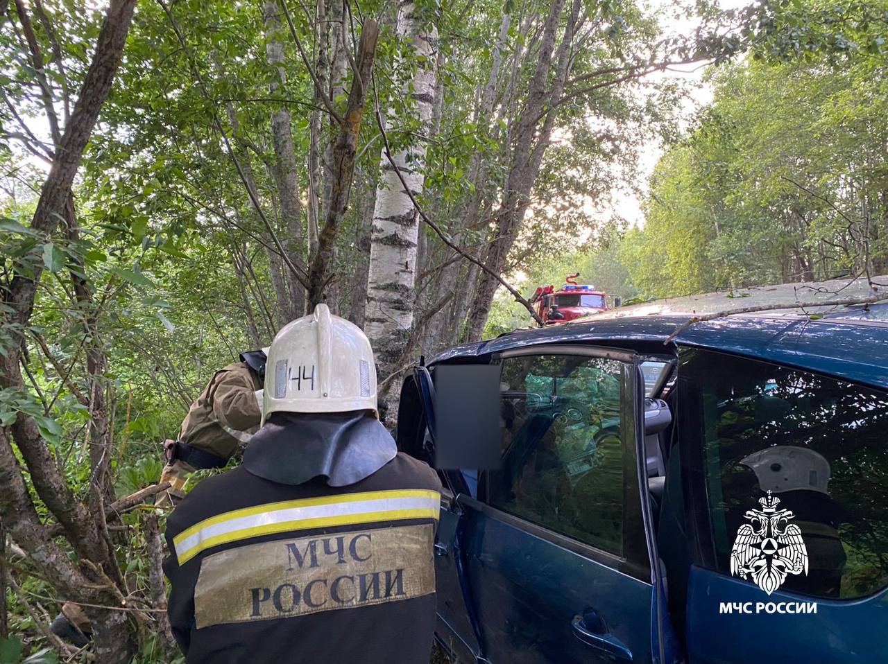 В Тверской области водителя зажало в машине после столкновения с деревом