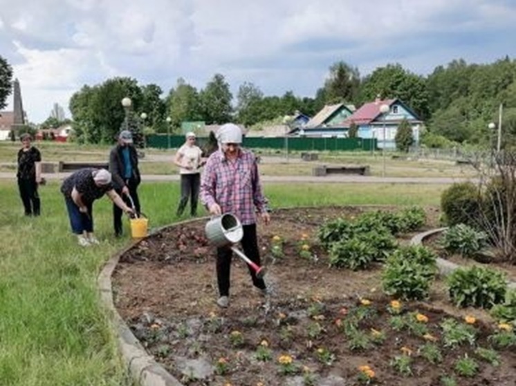 В андреапольском сквере благоустроили клумбы В андреапольском сквере благоустроили клумбы