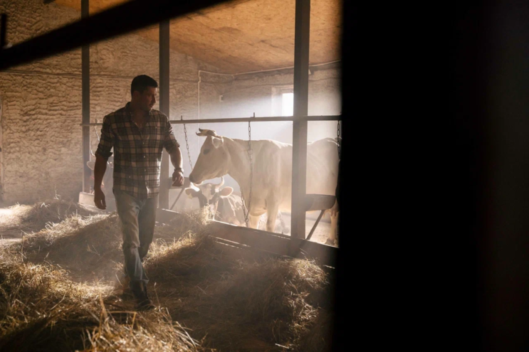 Павел Прилучный сыграет фермера из Твери в новой романтической комедии Павел Прилучный сыграет фермера из Твери в новой романтической комедии