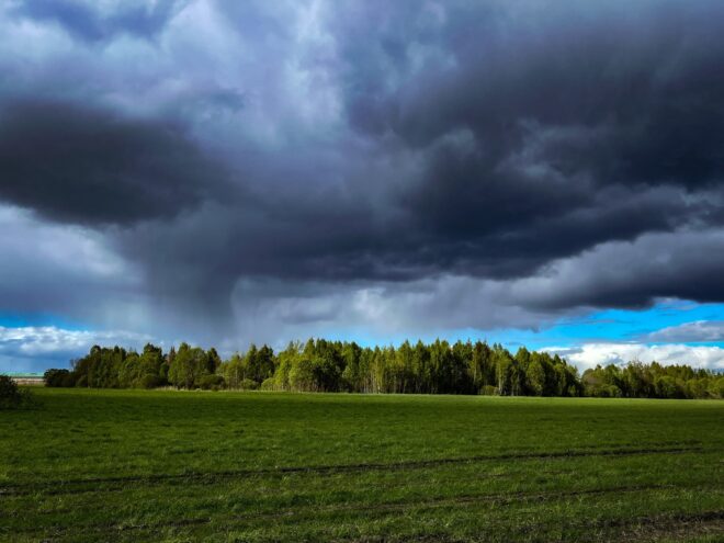 Суббота в Тверской области будет дождливой, но теплой