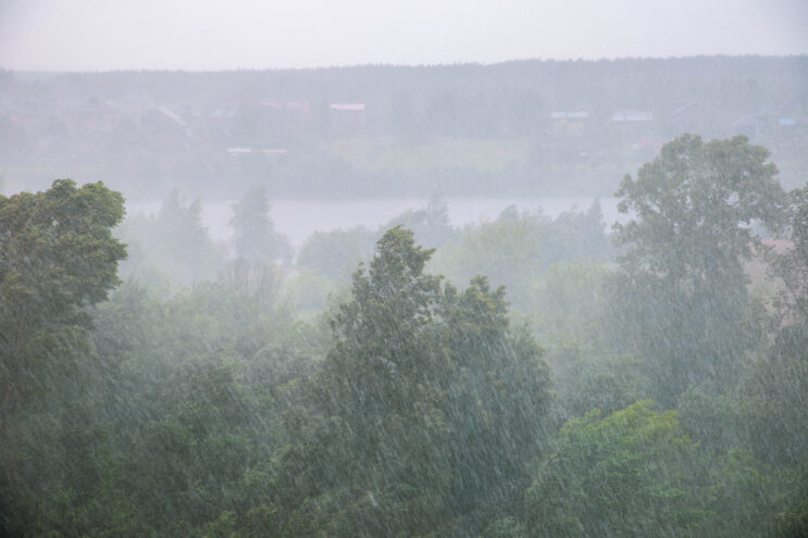 В Тверской области вновь пройдёт гроза с ливнем