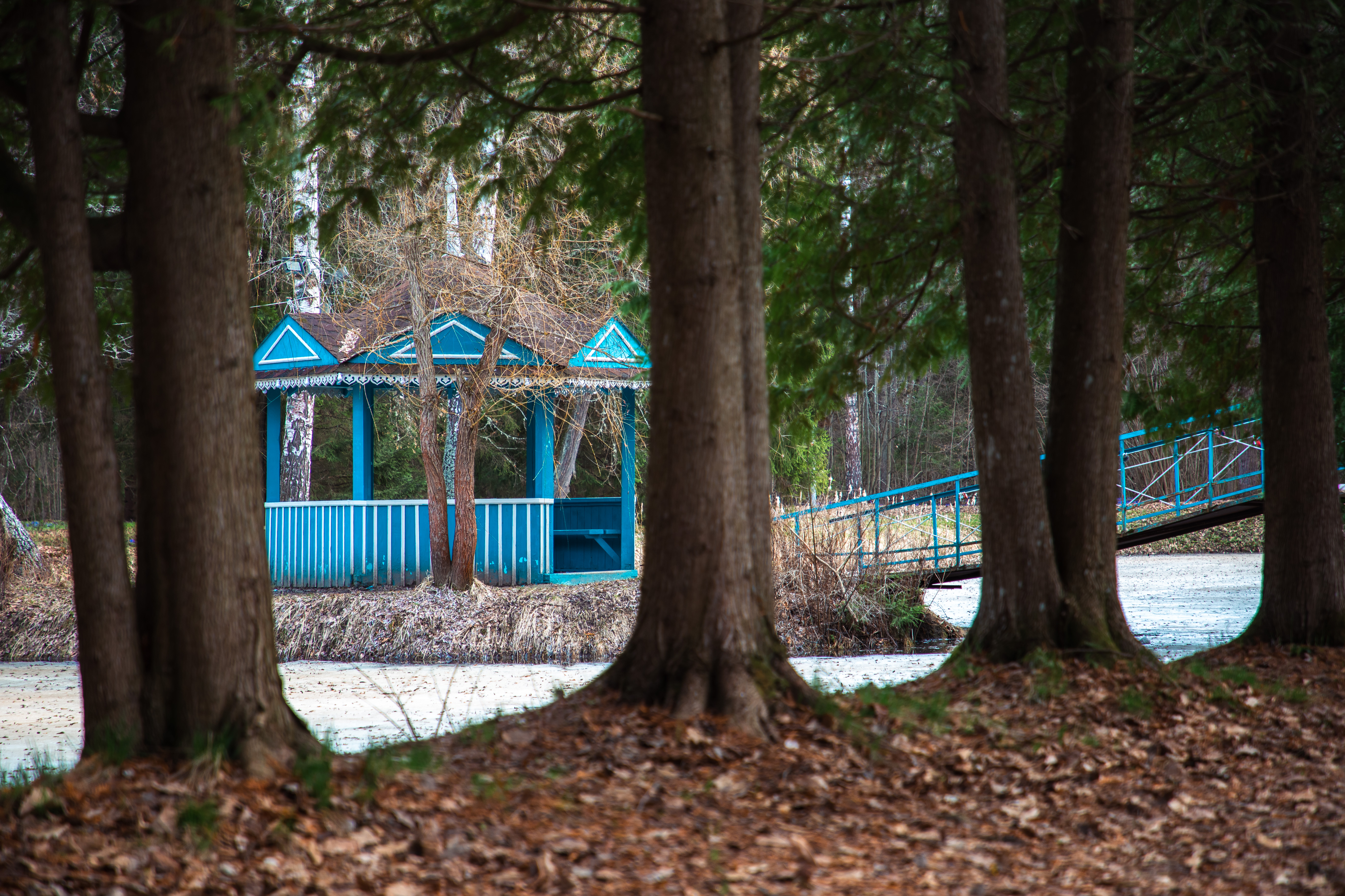 Почему Гагарин – наше все: И это не тот, о ком вы сейчас подумали