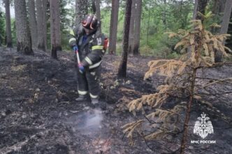 В Тверской области потушили пожар в лесу