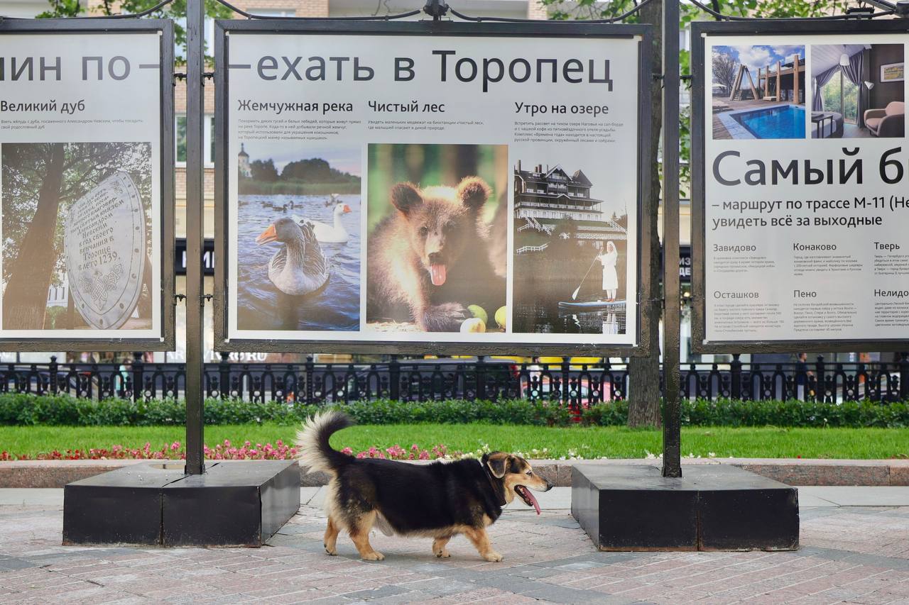 В Москве открылась фотовыставка, посвящённая 950-летию Торопца