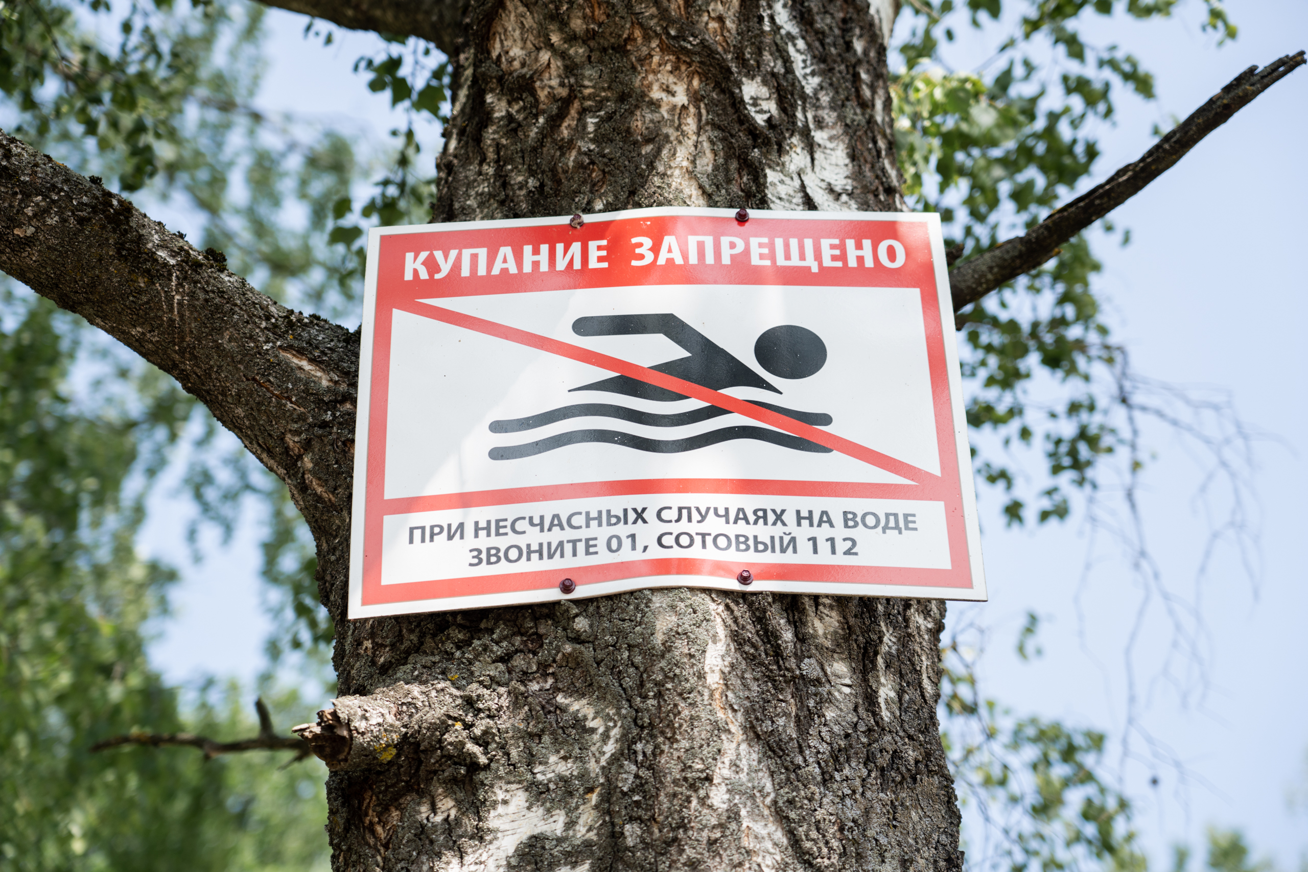 В России резко выросло число утонувших детей В России резко выросло число утонувших детей