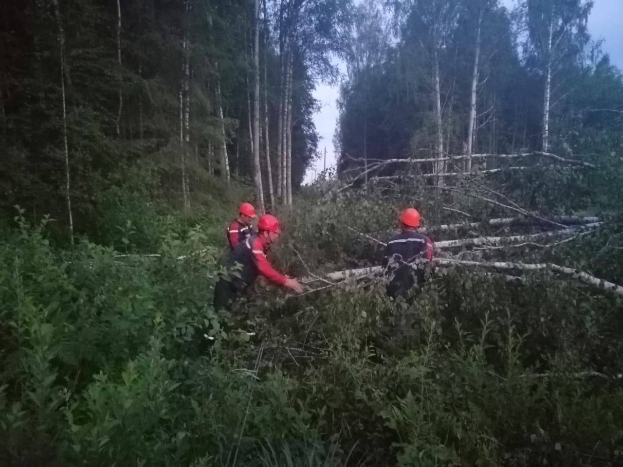 К 12.00 мск восстановлено электроснабжение более 50 % пострадавших от непогоды потребителей Тверской области