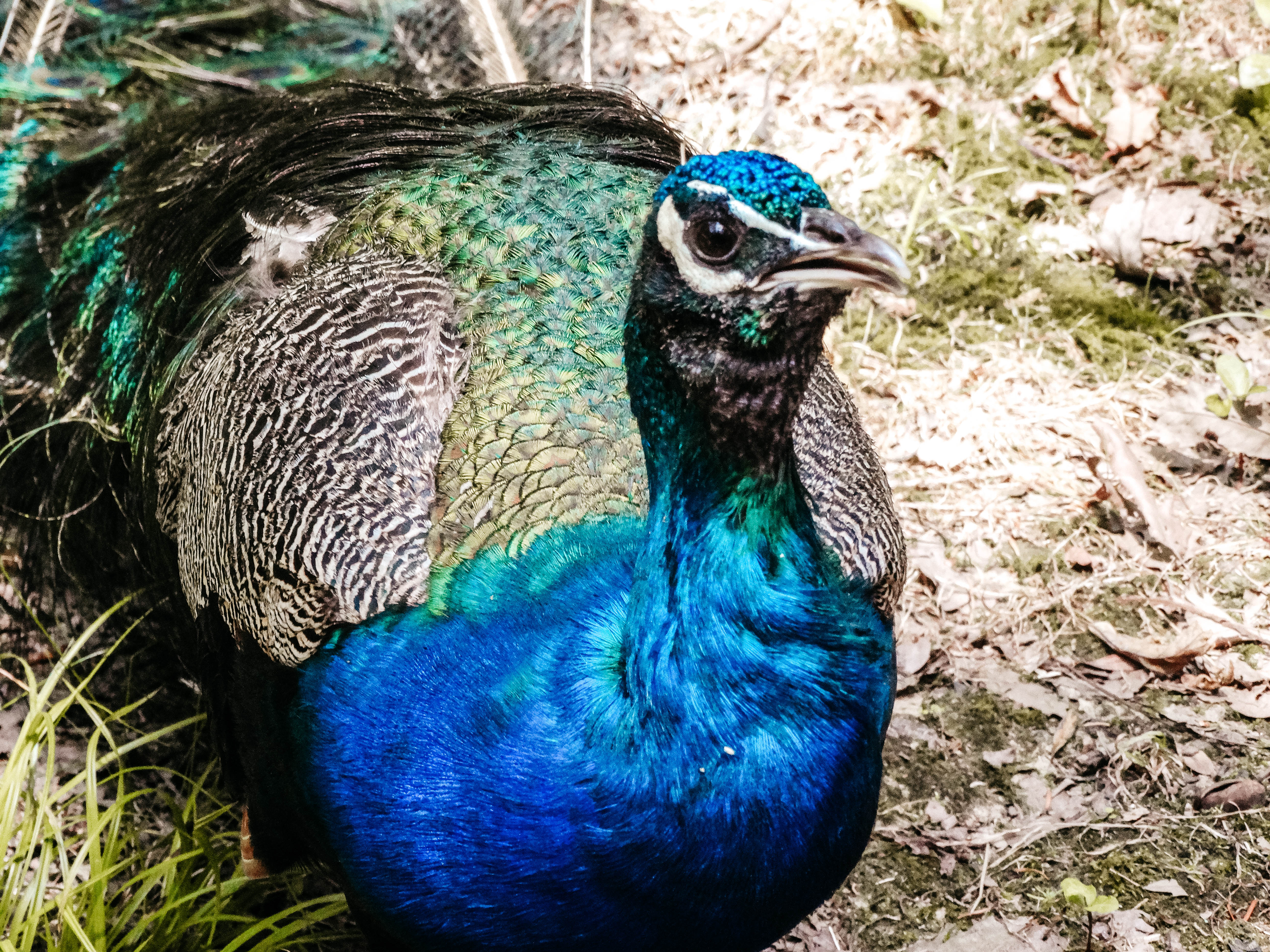 Фотолайфхак: Акцент