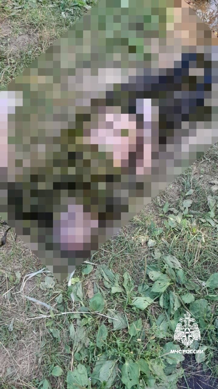 В Твери в реке утонул мужчина В Твери в реке утонул мужчина