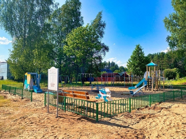 Под Андреаполем появилась новая детская площадка Под Андреаполем появилась новая детская площадка