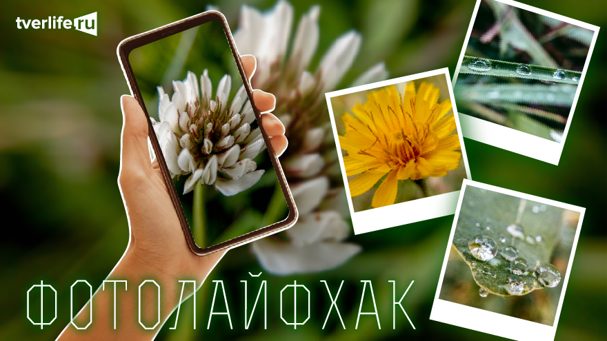 Фотолайфхак: Контраст Фотолайфхак: Контраст