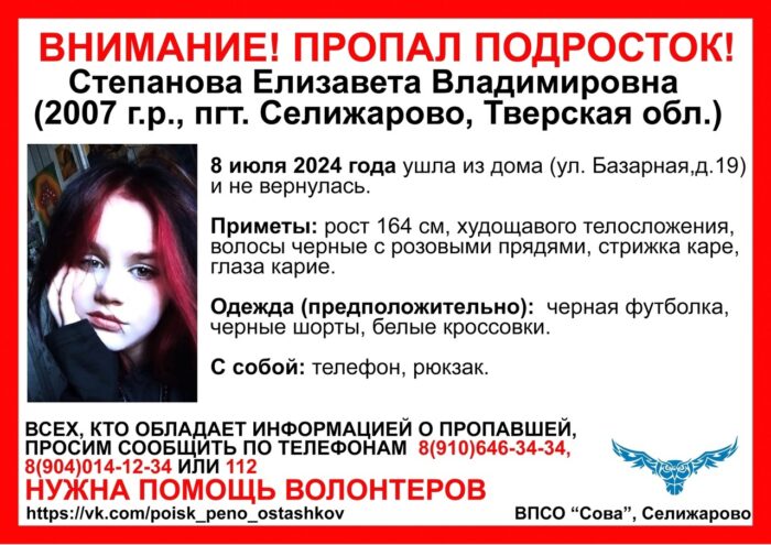 В Тверской области ищут девочку-подростка с розовыми прядями После исчезновения несовершеннолетней в Тверской области следователи начали проверку