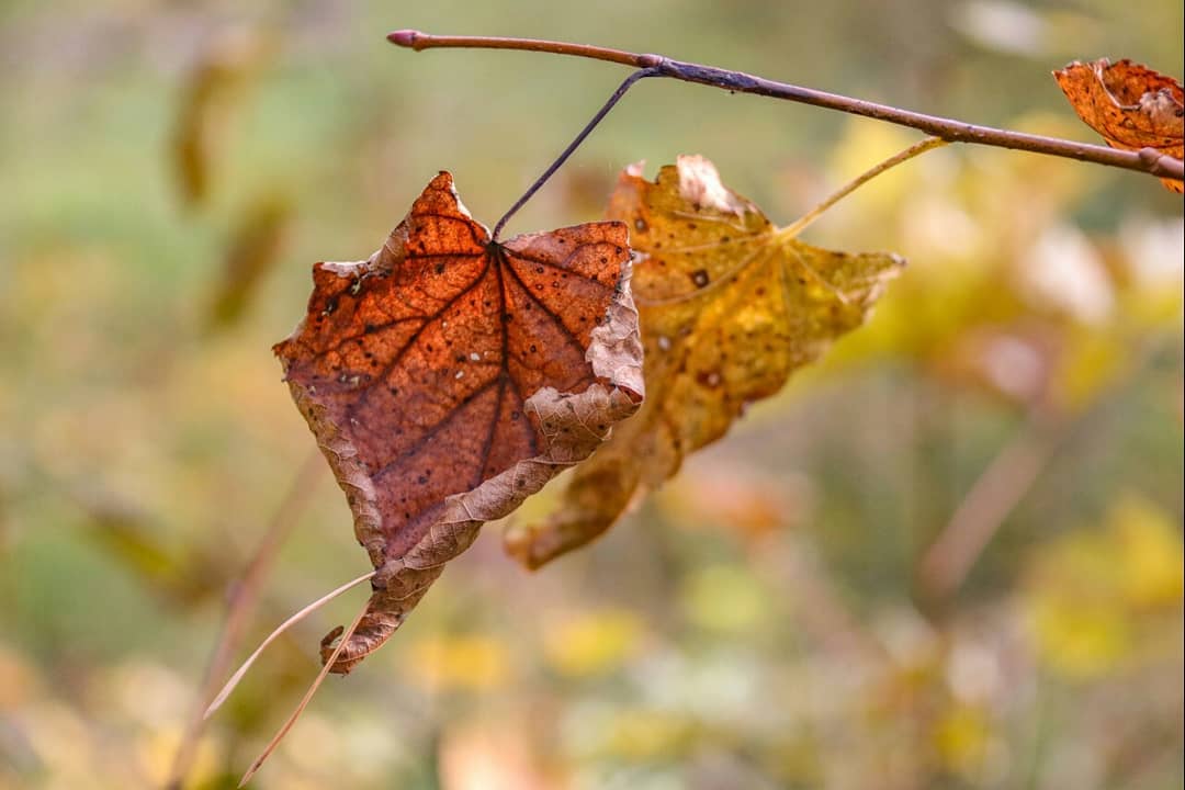 Фотолайфхак: Акцент