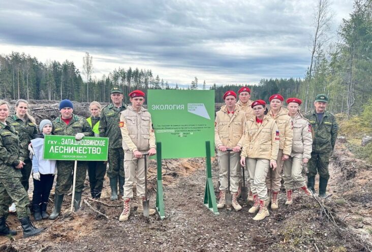 Тверская область заняла первое среди субъектов РФ по количеству высаженных деревьев акции "Сад памяти" Тверская область заняла первое среди субъектов РФ по количеству высаженных деревьев акции "Сад памяти"