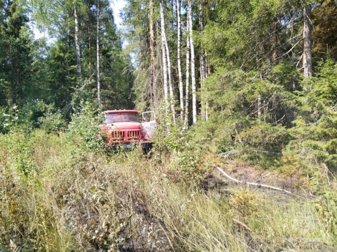В Вышневолоцком округе тлела лесная подстилка