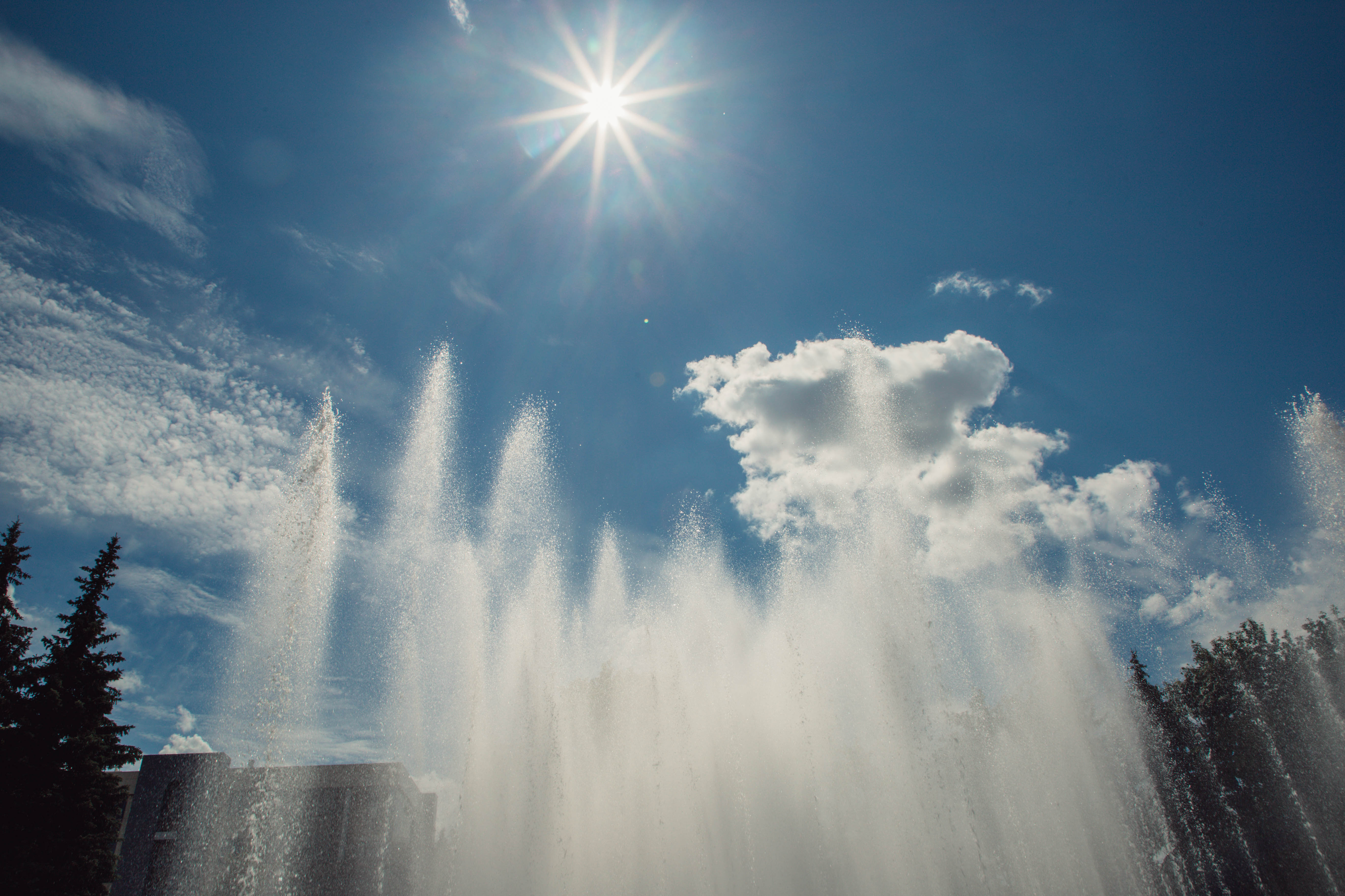 Фотолайфхак: Учимся дружить с естественным светом